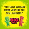 SOUR PATCH KIDS Big Individually Wrapped Soft & Chewy Candy, 240Ct SOUR PATCH KIDS Big Individually Wrapped Soft & Chewy Candy, 240Ct