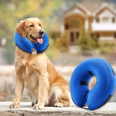 Protective Inflatable Collar