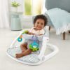 Fisher-Price Sit-Me-Up Floor Seat