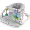 Fisher-Price Sit-Me-Up Floor Seat