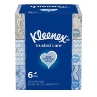 Trusted Care Everyday Facial Tissues