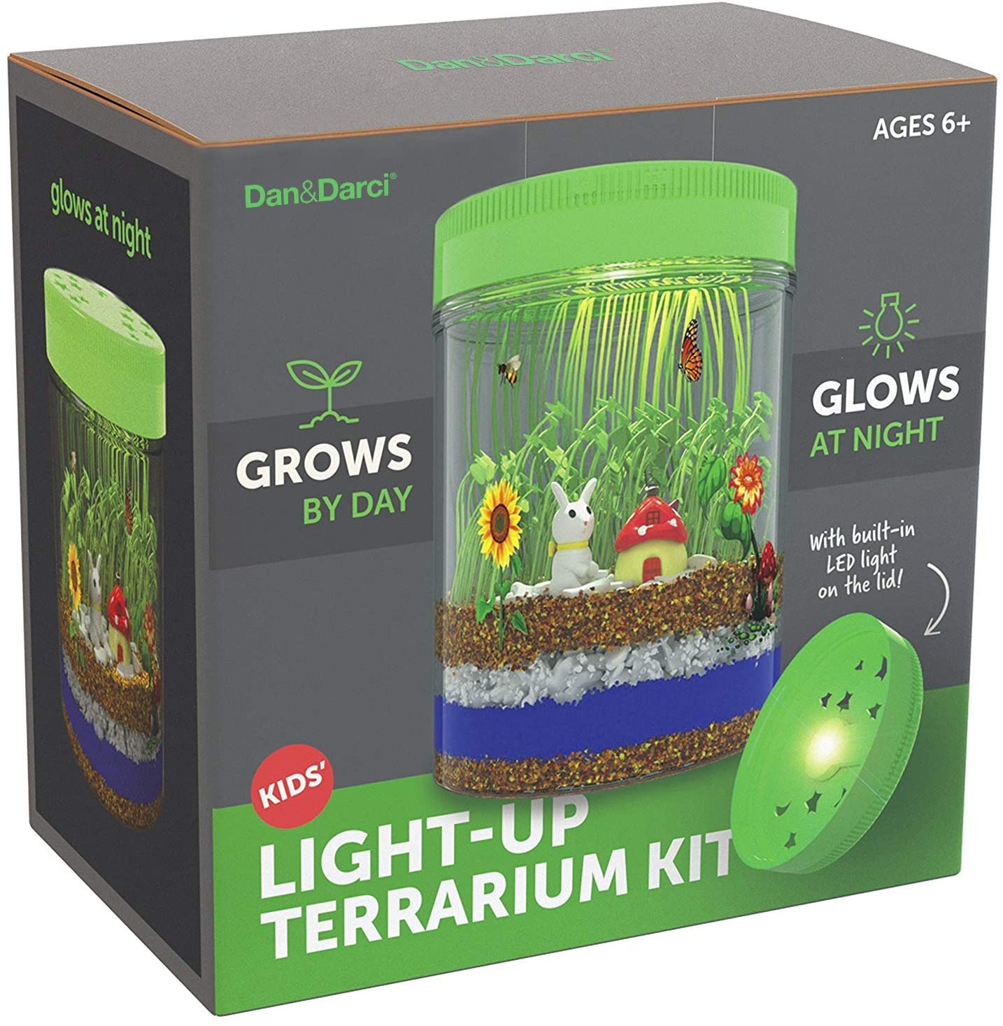 Light-Up Terrarium Kit for Kids – STEM Activities Science Craft Kits –