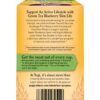 Yogi Tea Green Tea Blueberry Slim Life, 6 Pack, Contains Caffeine, 96 Tea Bags