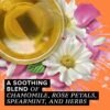 TAZO Calming Chamomile, Herbal Tea Caffeine, Tea Bags, 20 Count, 6 Pack.