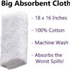 Cemko Cleaning Cloth + FOLEX Instant Carpet Spot Remover, 32oz