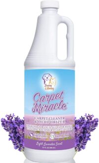 Carpet Cleaner