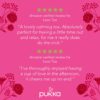 Pukka Love, Organic Herbal Tea With Chamomile And Lime Flower 60 Count, Pack of 3
