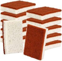 Based Scrub Sponge
