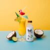 Bai Cocofusions Variety Pack, Coconut Flavored Water, 18 Fl Oz, 12 Pack