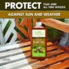 Star brite 52216 Premium Teak Oil, 16 oz.