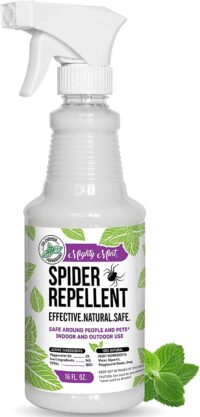 Spider Repellent Peppermint Oil