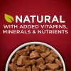 Purina ONE SmartBlend True Instinct Adult Canned Wet Dog Food, Grain Free Chicken & Duck