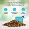 Blue Buffalo Freedom Grain Free Recipe for Dog, dog food, Chicken Recipe, 11 lb