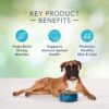 Blue Buffalo Freedom Grain Free Recipe for Dog, dog food, Chicken Recipe, 11 lb