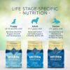 Blue Buffalo Freedom Grain Free Recipe for Dog, dog food, Chicken Recipe, 11 lb