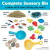 Creativity for Kids Sensory Bin: Ocean and Sand