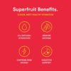 Lemon Perfect, Organic Cold-Pressed Lemon Water, Flavored Water, Strawberry Passion Fruit (12-Pack)
