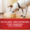 Purina ONE SmartBlend Canned Wet Dog Food, Gravy, Beef & Barley 13oz