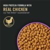 Purina Pro Plan Sport, Energy & Vitality Support, High Protein 30/20 Dry Dog Food, Chicken & Rice 6 lb. Bag