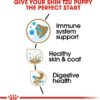 Royal Canin Shih Tzu Puppy Breed Specific Dry Dog Food, 2.5 lb. bag