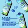 Vita Coco Coconut Water, Pure Organic | Refreshing Coconut Taste | Natural Electrolytes | Vital Nutrients | 16.9 Oz (Pack Of 12)