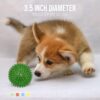 Dipperdap 4-Pack Squeaky Dog Toys 3.5” Spikey Dog Balls Dipperdap 4-Pack Squeaky Dog Toys 3.5” Spikey Dog Balls;