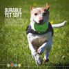 Dipperdap 4-Pack Squeaky Dog Toys 3.5” Spikey Dog Balls Dipperdap 4-Pack Squeaky Dog Toys 3.5” Spikey Dog Balls