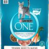 Purina ONE Tender Selects Blend Adult Dry Cat Food, 22lb