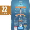 Purina ONE Tender Selects Blend Adult Dry Cat Food, Chicken