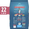 Purina ONE Tender Selects Blend Adult Dry Cat Food, Salmon