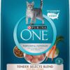 Purina ONE Tender Selects Blend Adult Dry Cat Food, salmon 3.5lbs