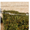 ECHO 99944200640 PAS-Mid-Reach Hedge Trimmer Attachment
