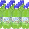 Hawaiian Punch Green Berry Rush, 10 fl oz bottles, 6 count (Pack of 4)