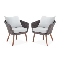 Athens Chocolate Brown Stationary All-Weather Wicker Outdoor Lounge Chairs (Set of 2)