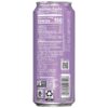 Yachak Yerba Mate Drink, Blackberry, 16 Fl Oz Cans, Pack of 12