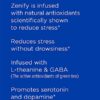 Zenify Zero Sugar All Natural Sparkling Calming Stress Relief Beverage, Original (Pack of 12)