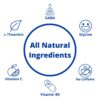 Zenify Zero Sugar All Natural Sparkling Calming Stress Relief Beverage, Original (Pack of 12)