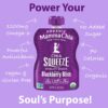 Mamma Chia Organic Vitality Squeeze Snack, Blackberry Bliss, 24- 3.05 Ounce Chia Pouches. USDA Organic, Non-GMO, Vegan, Gluten Free, and Kosher. Fruit and Vegetables with only 70 Calories