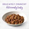 Purina Fancy Feast Dry Cat Food, With Savory Chicken & Turkey 16 oz. Bags, Pack of 4 Purina Fancy Feast Dry Cat Food, With Savory Chicken & Turkey 16 oz. Bags, Pack of 4