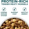 Purina ONE Natural, High Protein, Large Breed Dry Dog Food, +Plus Large Breed Formula - 40 lb. Bag Purina ONE Natural, High Protein, Large Breed Dry Dog Food, +Plus Large Breed Formula - 40 lb. Bag