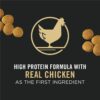 Purina Pro Plan High Protein, Digestive Health Large Breed Dry Dog Food, Chicken and Rice Formula - 47 lb. Bag Purina Pro Plan High Protein, Digestive Health Large Breed Dry Dog Food, Chicken and Rice Formula - 47 lb. Bag