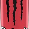Rehab Monster Energy Watermelon + Energy 15.5oz (Pack of 24)