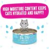 Weruva B.F.F. OMG - Best Feline Friend Oh My Gravy!, Lots-O-Luck! with Duck & Tuna in Gravy Cat Food, 5.5oz Can (Pack of 8) Weruva B.F.F. OMG - Best Feline Friend Oh My Gravy!, Lots-O-Luck! with Duck & Tuna in Gravy Cat Food, 5.5oz Can (Pack of 8)