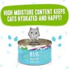 Weruva B.F.F. OMG - Best Feline Friend Oh My Gravy!, Selfie Cam! with Chicken & Lamb in Gravy Cat Food, 2.8-Ounce Can (Pack of 12)