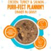 Weruva B.F.F. OMG - Best Feline Friend Oh My Gravy!, Purr-Fect Plannin'! with Chicken, Turkey & Salmon in Gravy Cat Food, 2.8oz Pouch (Pack of 12)