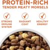 Purina ONE Natural, Weight Control Dry Dog Food, +Plus Healthy Weight Formula - 31.1 lb. Bag