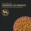Purina Pro Plan High Energy, High Protein Dry Dog Food, SPORT 30/20 Salmon & Rice Formula - 6 lb. Bag Purina Pro Plan High Energy, High Protein Dry Dog Food, SPORT 30/20 Salmon & Rice Formula - 6 lb. Bag