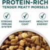 Purina ONE Natural, High Protein, Large Breed Dry Puppy Food, +Plus Large Breed Formula - 16.5 lb. Bag