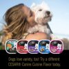 CESAR Soft Wet Dog Food Classic Loaf in Sauce Beef Recipe, Filet Mignon, Grilled Chicken and Porterhouse Steak Variety Pack, (24) 3.5 oz. Easy Peel Trays