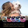 CESAR Soft Wet Dog Food Classic Loaf in Sauce Poultry Variety Pack, (24) 3.5 oz. Easy Peel Trays with Real Chicken, Turkey or Duck CESAR Soft Wet Dog Food Classic Loaf in Sauce Poultry Variety Pack, (24) 3.5 oz. Easy Peel Trays with Real Chicken, Turkey or Duck